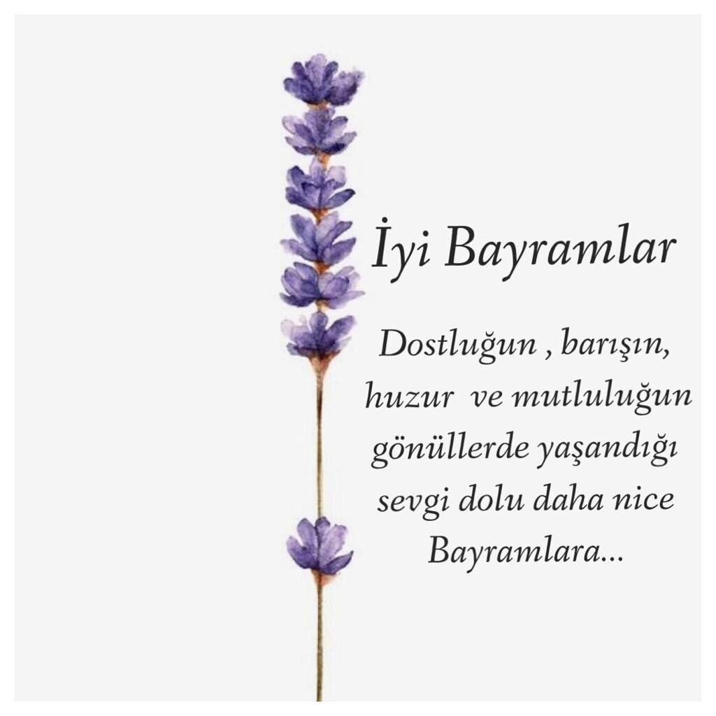 Gönderi fotoğrafı